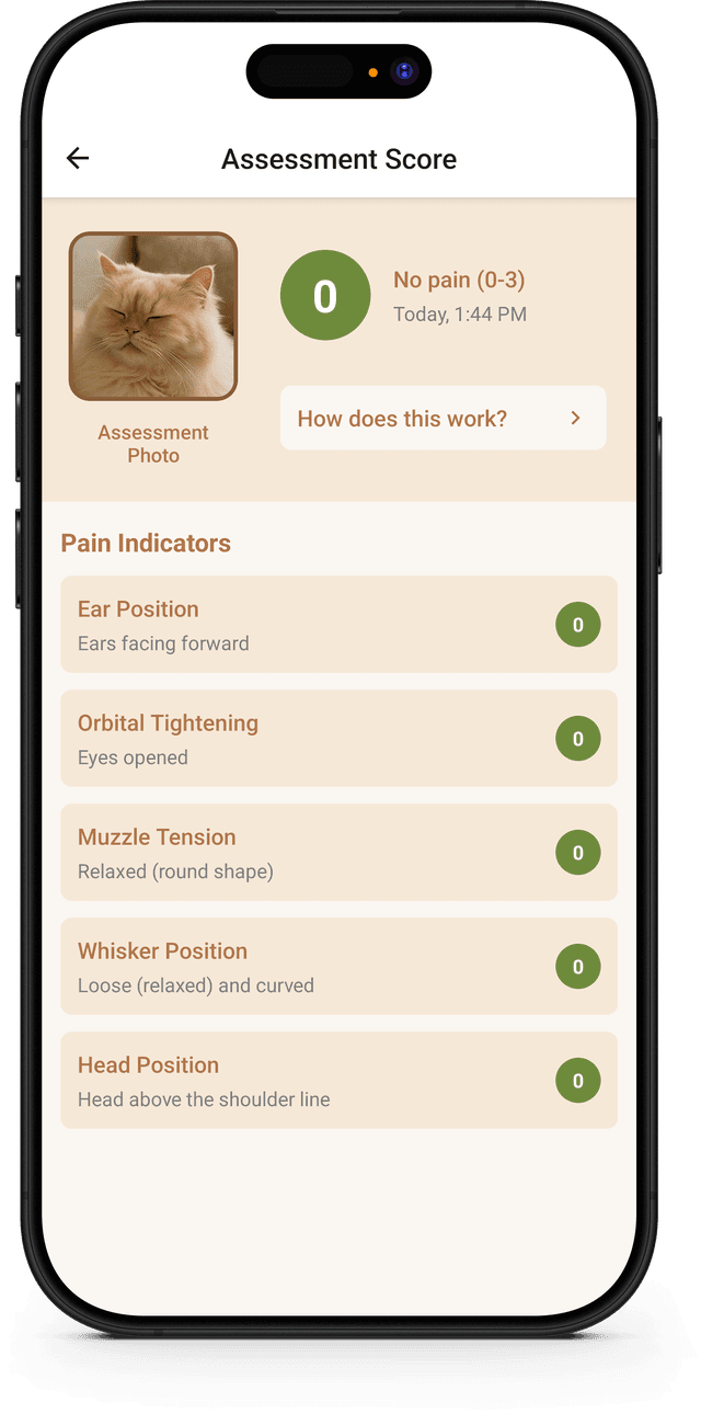 Detect Pain in Seconds