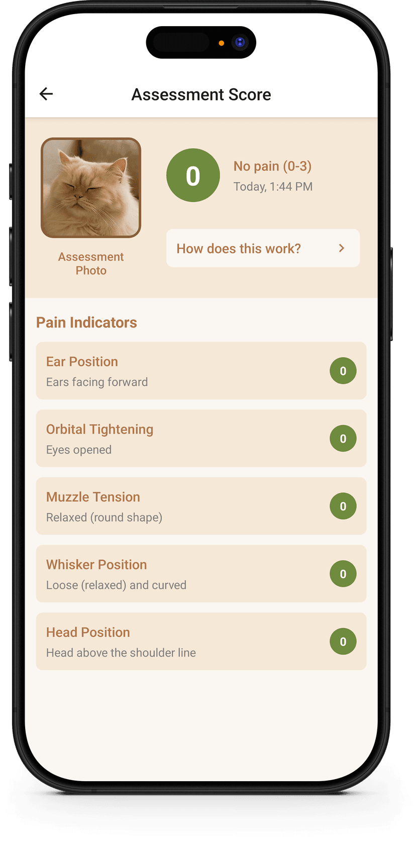 Detecta Dolor en Segundos
