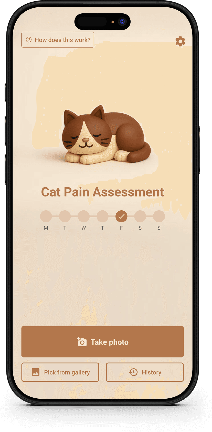 Rastrea Cambios con el Tiempo