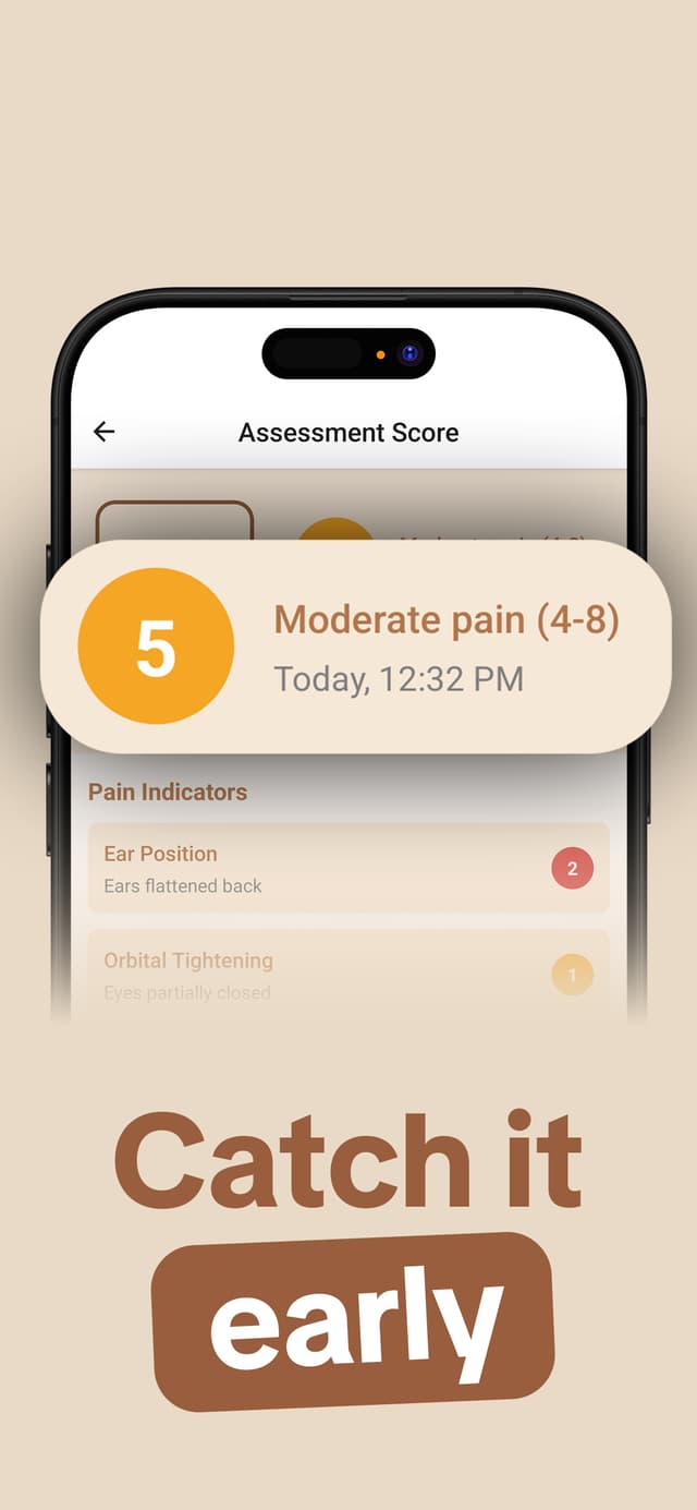 Step 3: Track pain over time